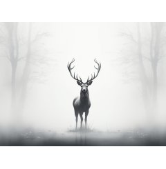 Foto obraz na płótnie  -  Jeleń na bialym tle - P/4030/1038