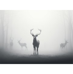 Foto obraz na płótnie  -  Jeleń na bialym tle - P/4030/1024
